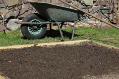 Beet_007