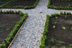 Beet_009